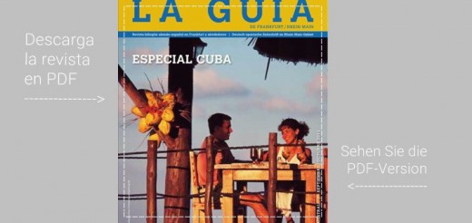 la-guia-30-2011-021